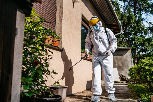 Best Best Pest Control Companies  in Manana, HI